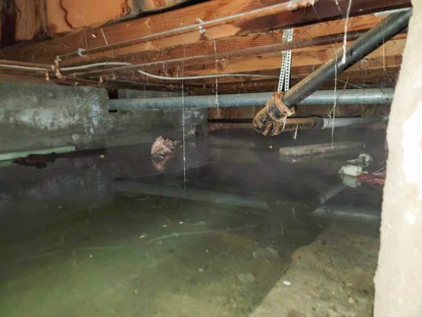 Best 24-hour water damage restoration  in Speers, PA