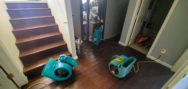 Best Basement water damage restoration  in Speers, PA