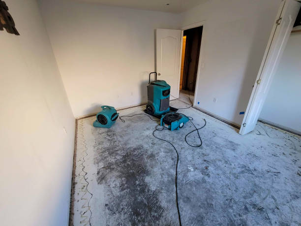 Best Residential water damage restoration  in Speers, PA