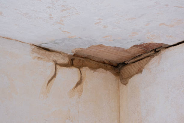 Best Commercial water damage restoration  in Speers, PA