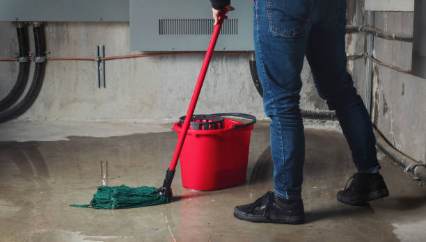 Best Flood damage cleanup  in Speers, PA